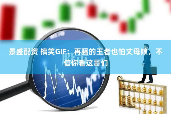 景盛配资 搞笑GIF：再骚的王者也怕丈母娘，不信你看这哥们