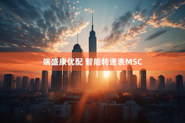 端盛康优配 智能转速表MSC