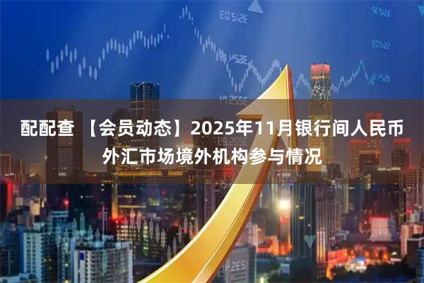 配配查 【会员动态】2025年11月银行间人民币外汇市场境外机构参与情况