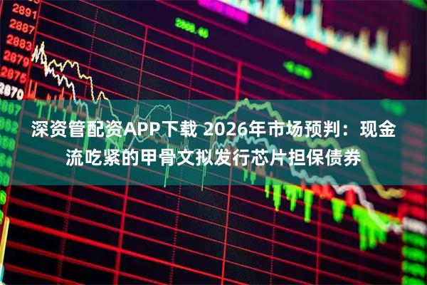 深资管配资APP下载 2026年市场预判：现金流吃紧的甲骨文拟发行芯片担保债券