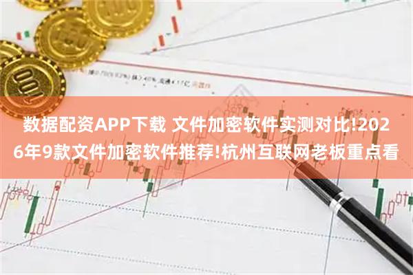 数据配资APP下载 文件加密软件实测对比!2026年9款文件加密软件推荐!杭州互联网老板重点看