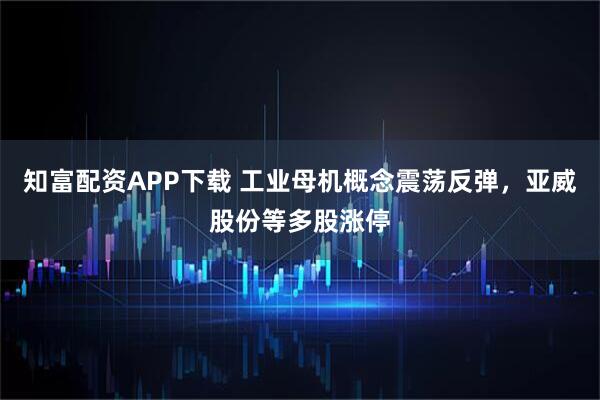 知富配资APP下载 工业母机概念震荡反弹，亚威股份等多股涨停